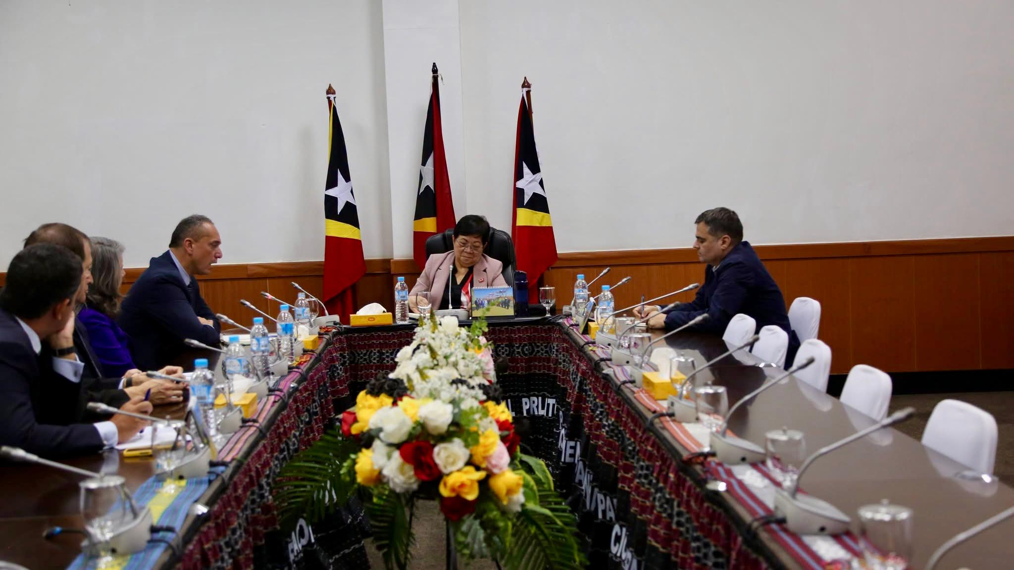 PPN simu Audensia husi husi reprezentante UNDP iha Timor-Leste
